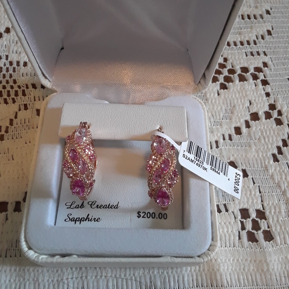 Hoop Earrings.  NWT